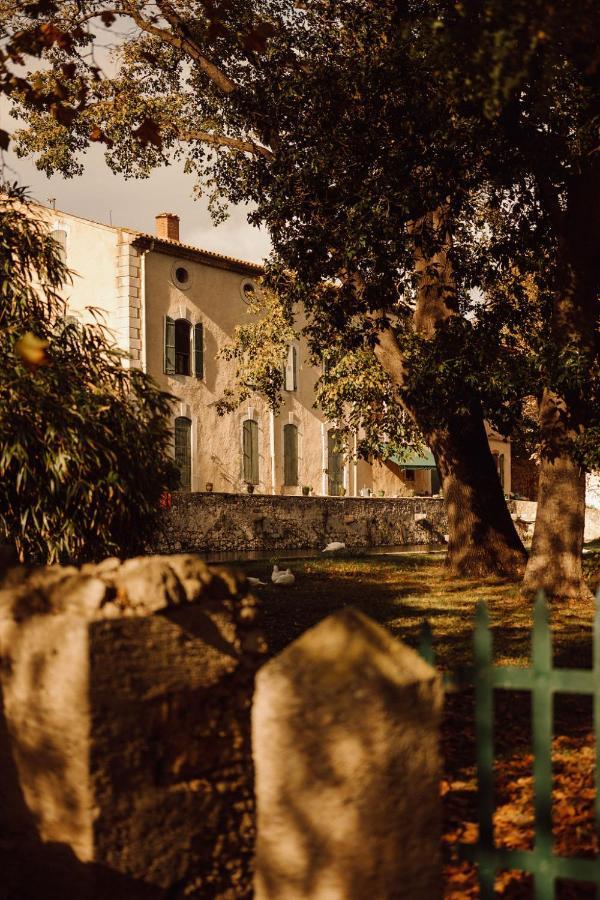 Gite Superbe L'Ecurie Xixeme Sallèles-dʼAude Zewnętrze zdjęcie