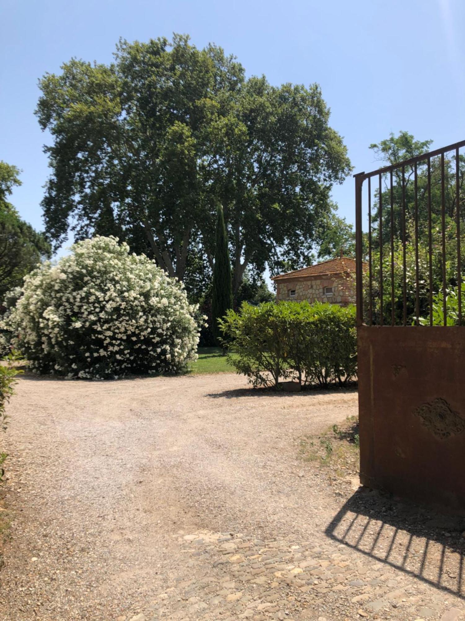 Gite Superbe L'Ecurie Xixeme Sallèles-dʼAude Zewnętrze zdjęcie